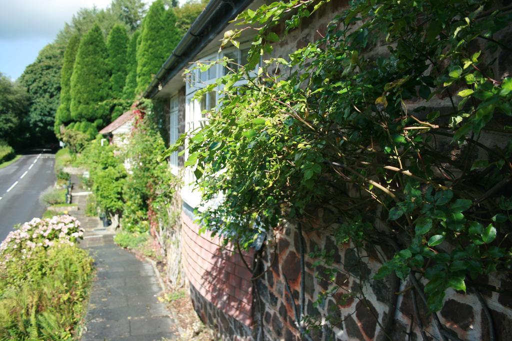 The Bark House 호텔 티버튼 외부 사진